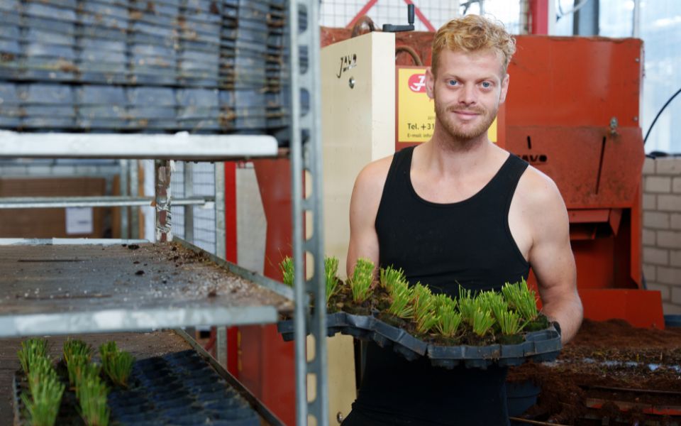 Van Neerven Plant